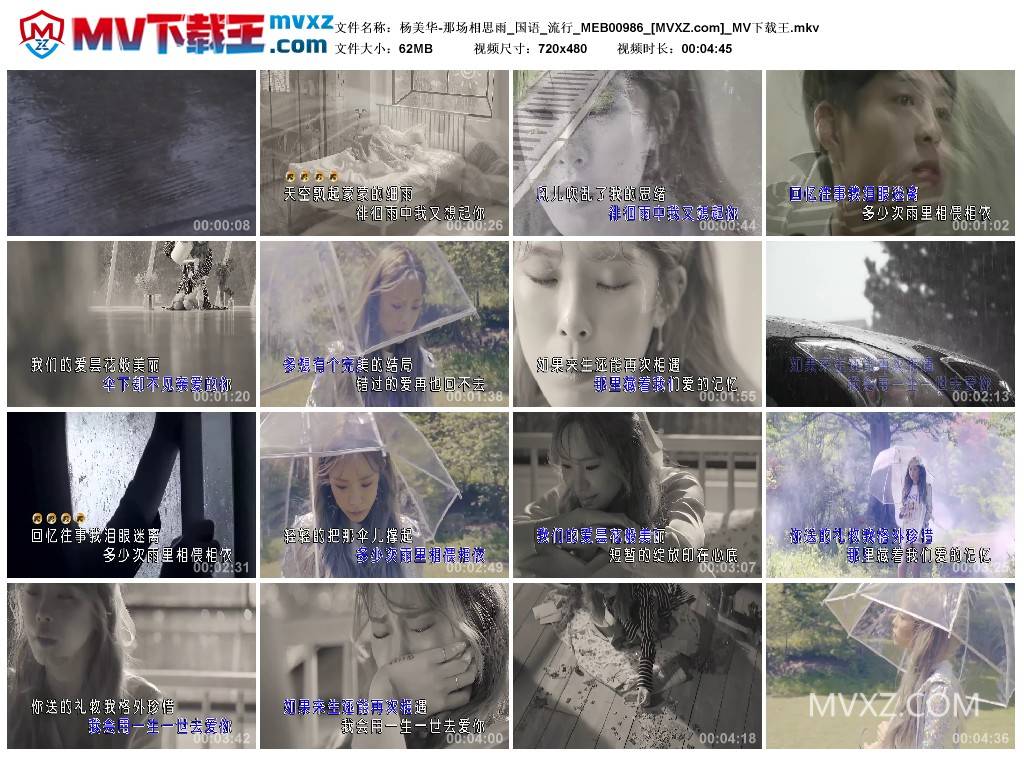 杨美华-那场相思雨_国语_流行_MEB00986